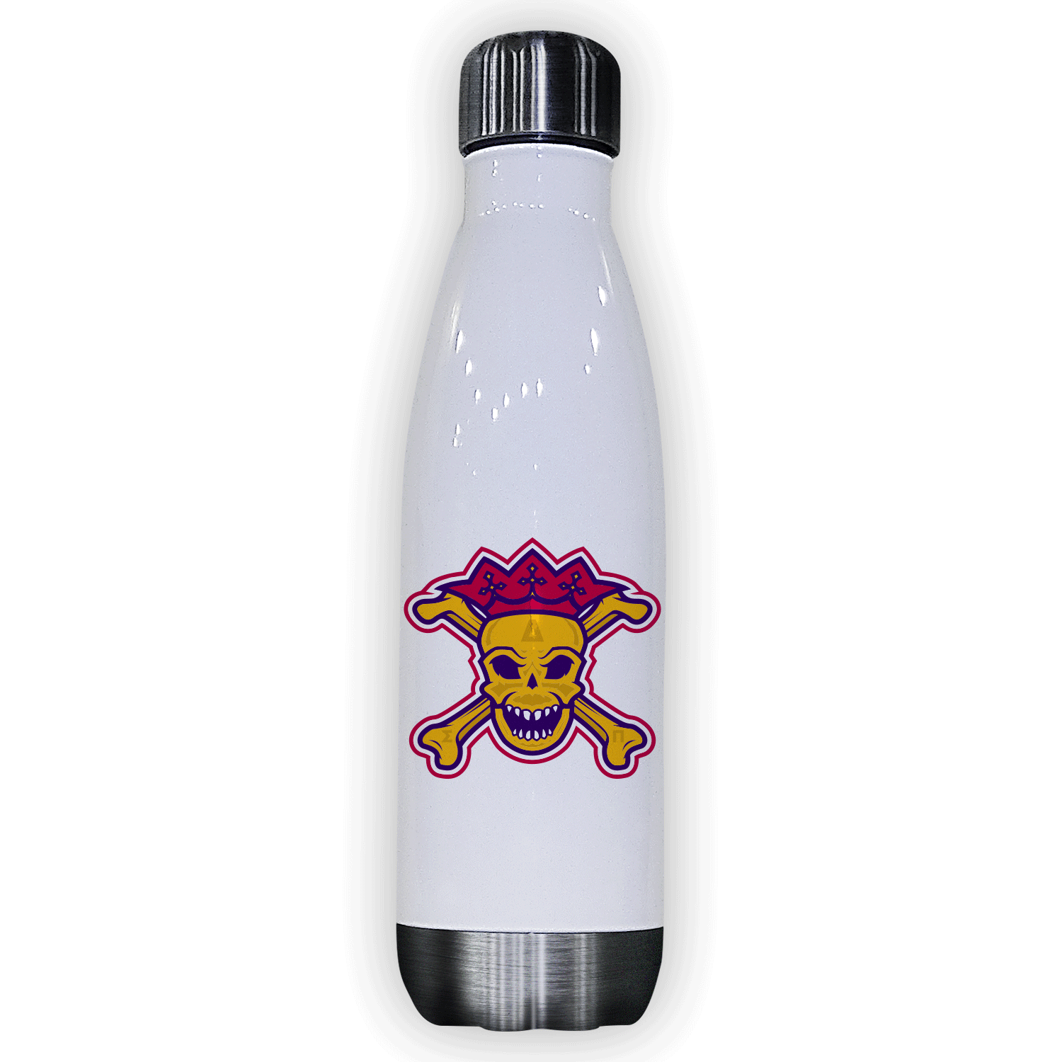 Delta Sigma Pi Gift water bottle