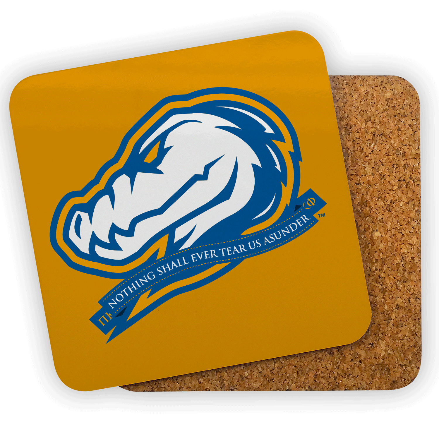 Pi Kappa Phi PKP Kap mom Mother’s Day gift dad Father’s Day bid day recruit recruitment rush tea dads bbq bar b que roller skating sisterhood brotherhood big little' lil' picnic beach vacation Christmas birthday mixer custom designs Vertical Bid Day Banner alumni fathers day fraternity frat