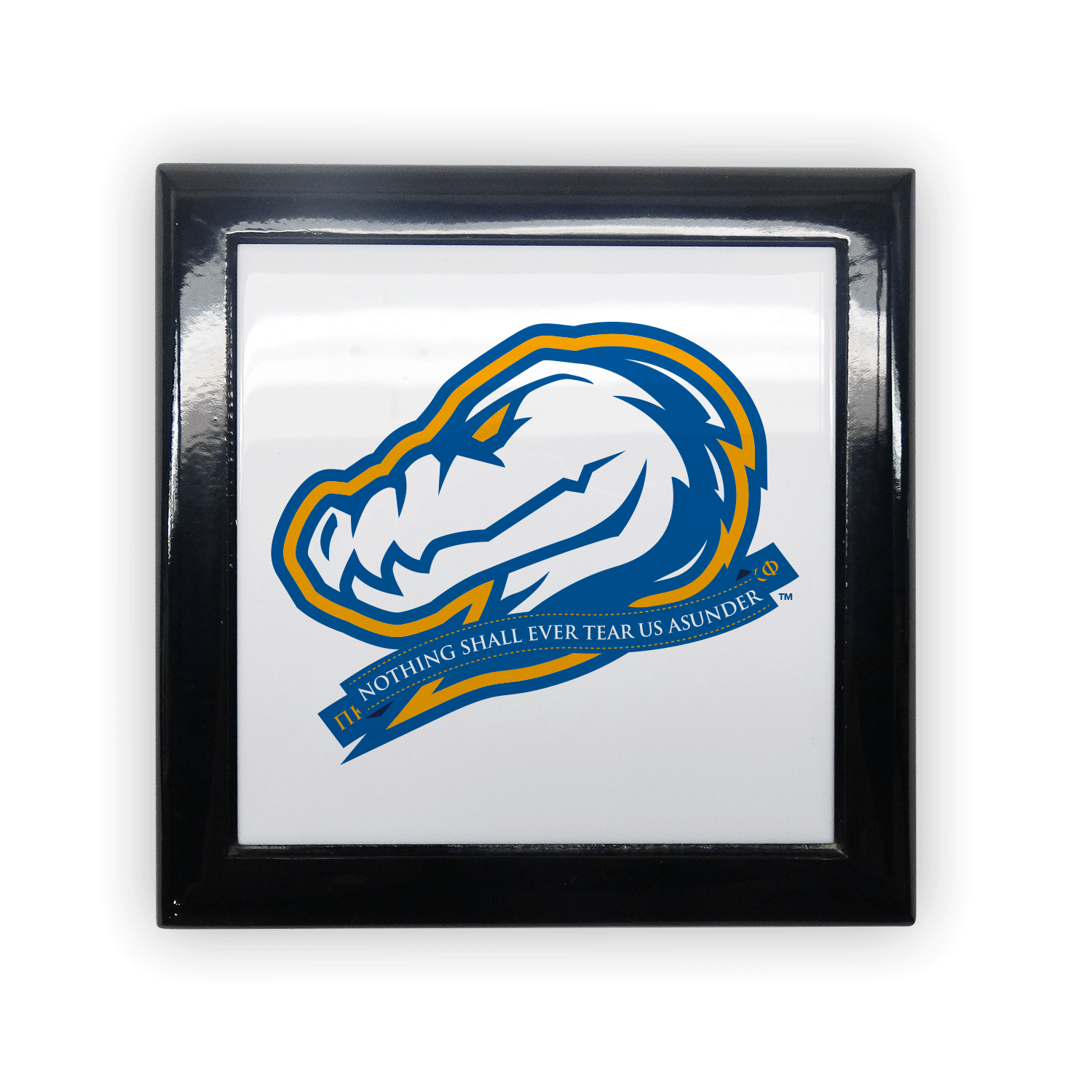 Pi Kappa Phi PKP Kap mom Mother’s Day gift dad Father’s Day bid day recruit recruitment rush tea dads bbq bar b que roller skating sisterhood brotherhood big little' lil' picnic beach vacation Christmas birthday mixer custom designs Vertical Bid Day Banner alumni fathers day fraternity frat