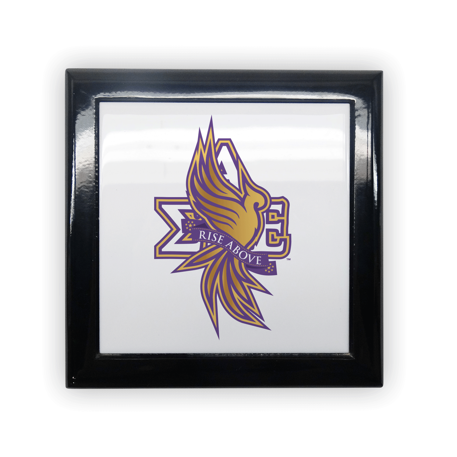 Sigma Alpha Epsilon Sig Alp Ep SAE mom Mother’s Day gift dad Father’s Day bid day recruit recruitment rush tea dads bbq bar b que roller skating sisterhood brotherhood big little' lil' picnic beach vacation Christmas birthday mixer custom designs Vertical Bid Day Banner alumni fathers day fraternity frat