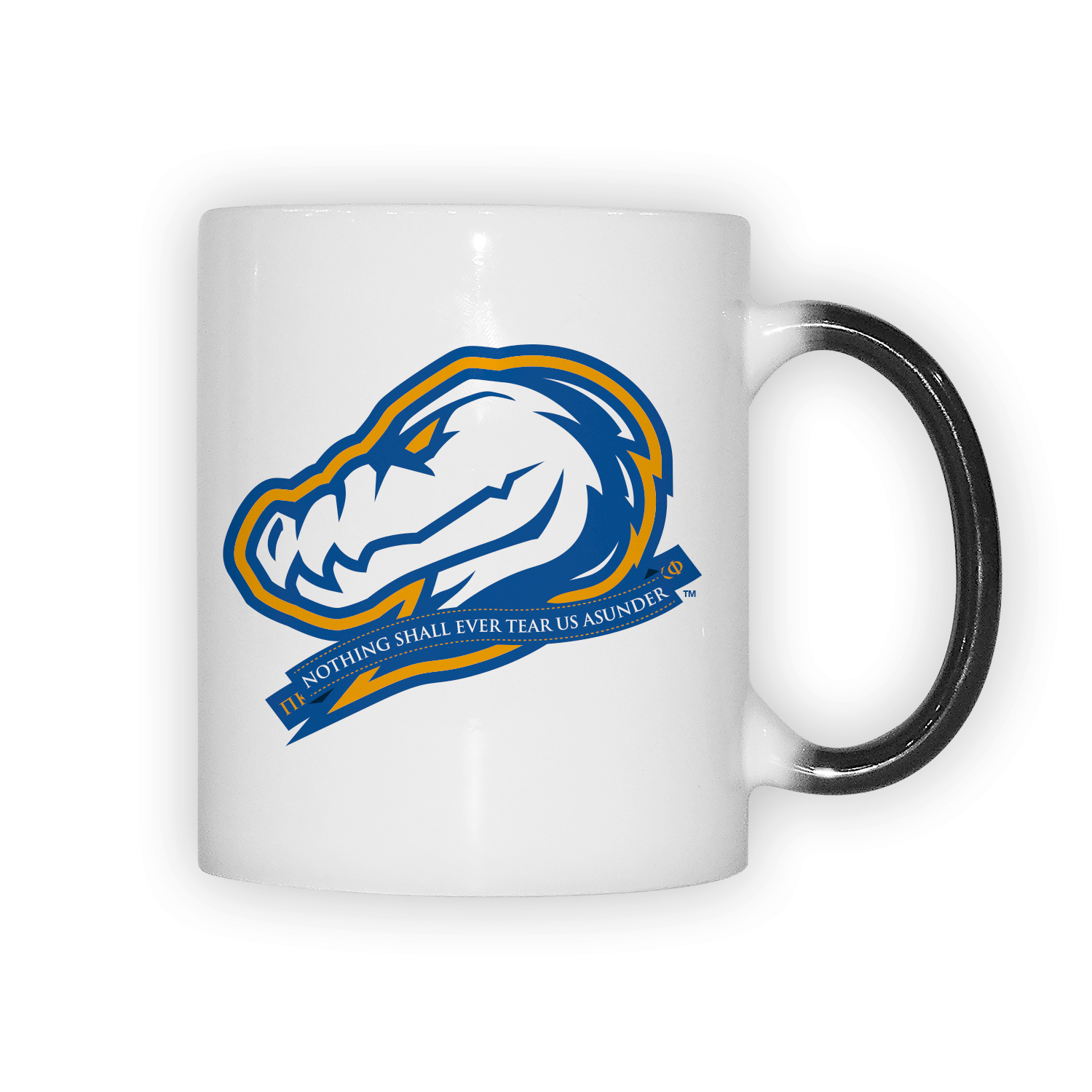 Pi Kappa Phi PKP Kap mom Mother’s Day gift dad Father’s Day bid day recruit recruitment rush tea dads bbq bar b que roller skating sisterhood brotherhood big little' lil' picnic beach vacation Christmas birthday mixer custom designs Vertical Bid Day Banner alumni fathers day fraternity frat