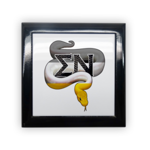 Sigma Nu Sig Mother’s Day gift dad Father’s Day bid day recruit recruitment rush tea dads bbq bar b que roller skating sisterhood brotherhood big little' lil' picnic beach vacation Christmas birthday mixer custom designs Vertical Bid Day Banner alumni fathers day fraternity frat