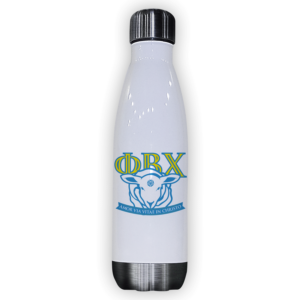 Phi Beta Chi mom Mother’s Day gift dad Father’s Day bid day recruit recruitment rush tea dads bbq barbeque roller skating sisterhood brotherhood big little' lil' picnic beach vacation Christmas birthday mixer custom designs Greek Goods water bottle stainless steel